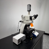 Nikon Eclipse LV-ECON Microscope image 0
